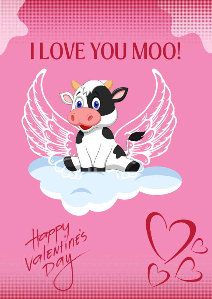 Cow Valentine's Day Card